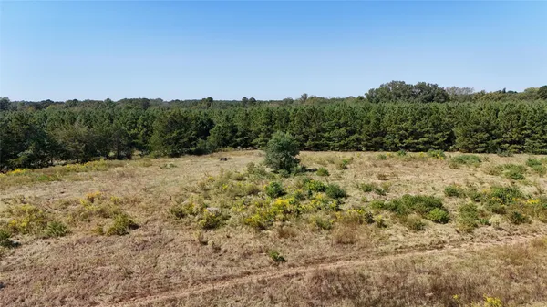 $49,900 | 0 County Road 4694, Timpson, TX 75975