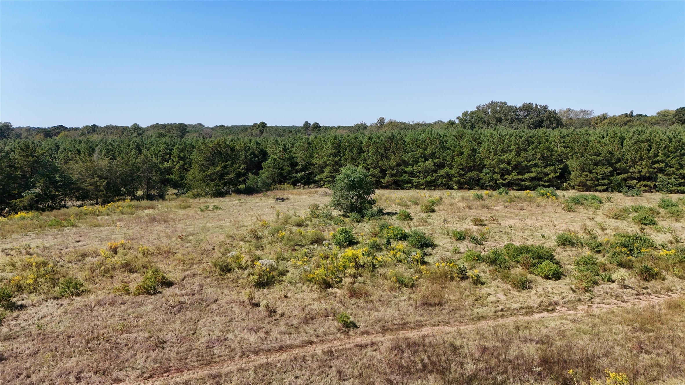 0 County Road 4694 Timpson, TX 75975 - Photo 16 of 25