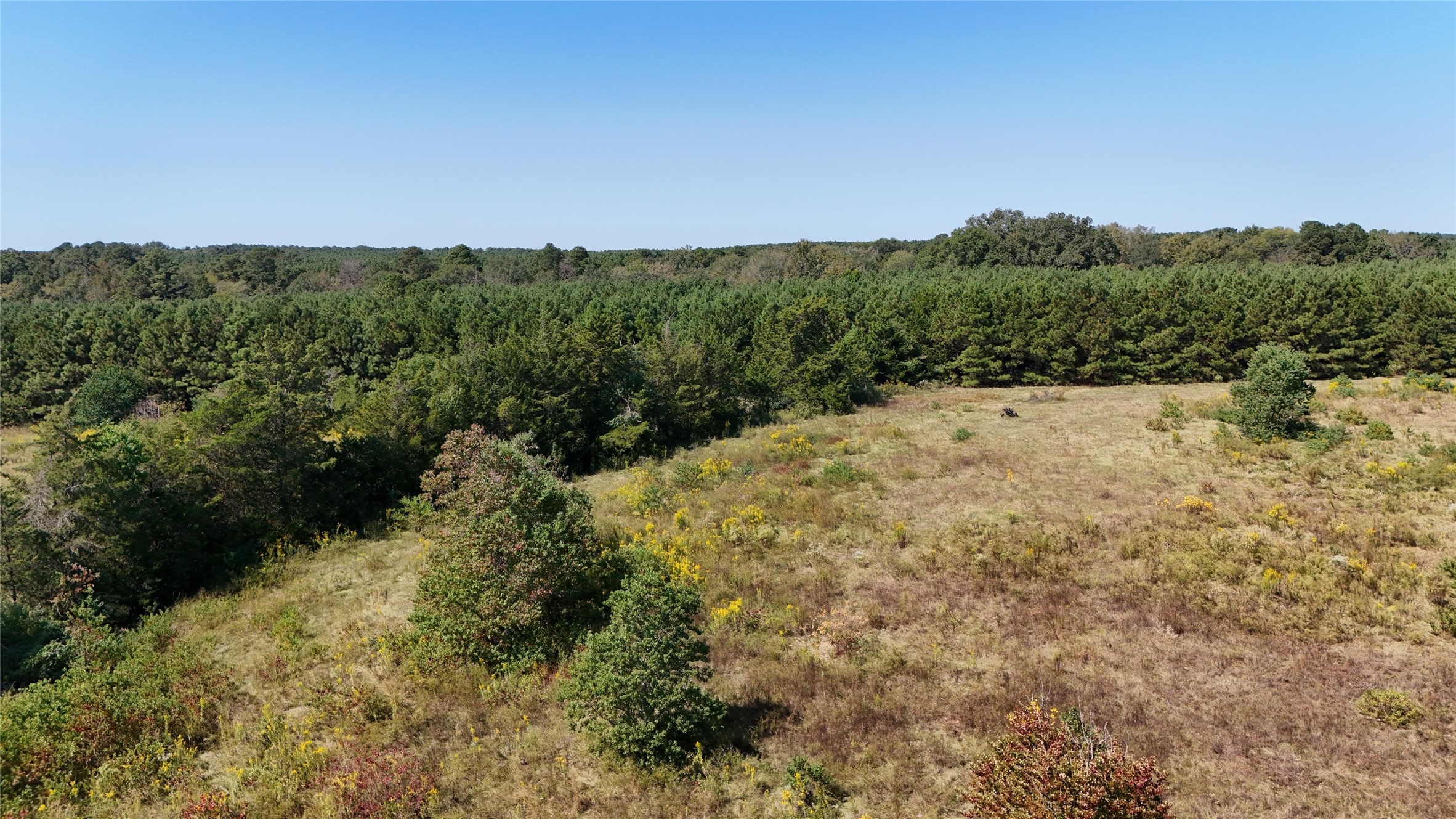 0 County Road 4694 Timpson, TX 75975 - Photo 17 of 25