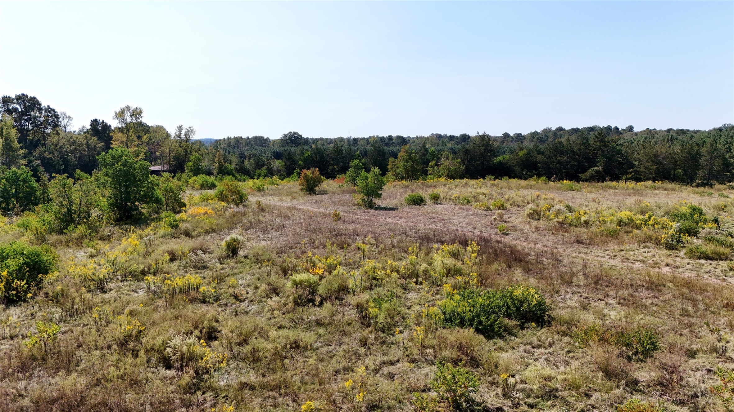 0 County Road 4694 Timpson, TX 75975 - Photo 18 of 25