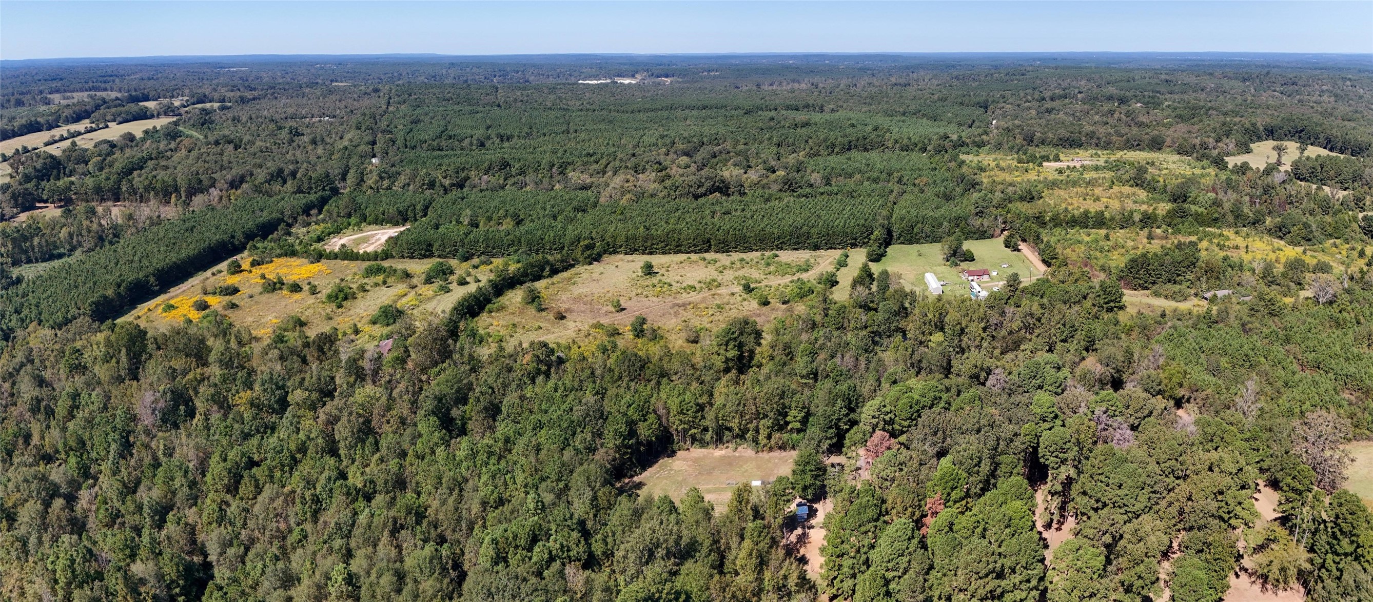 0 County Road 4694 Timpson, TX 75975 - Photo 19 of 25