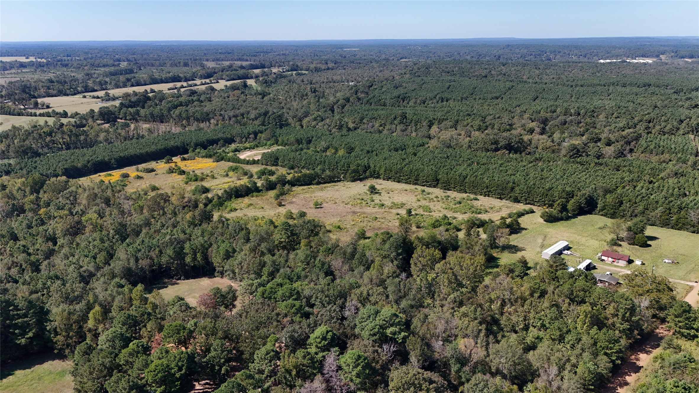 0 County Road 4694 Timpson, TX 75975 - Photo 22 of 25