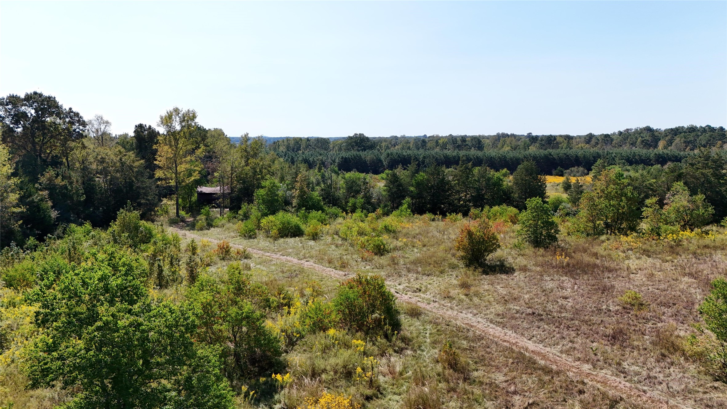 0 County Road 4694 Timpson, TX 75975 - Photo 6 of 25