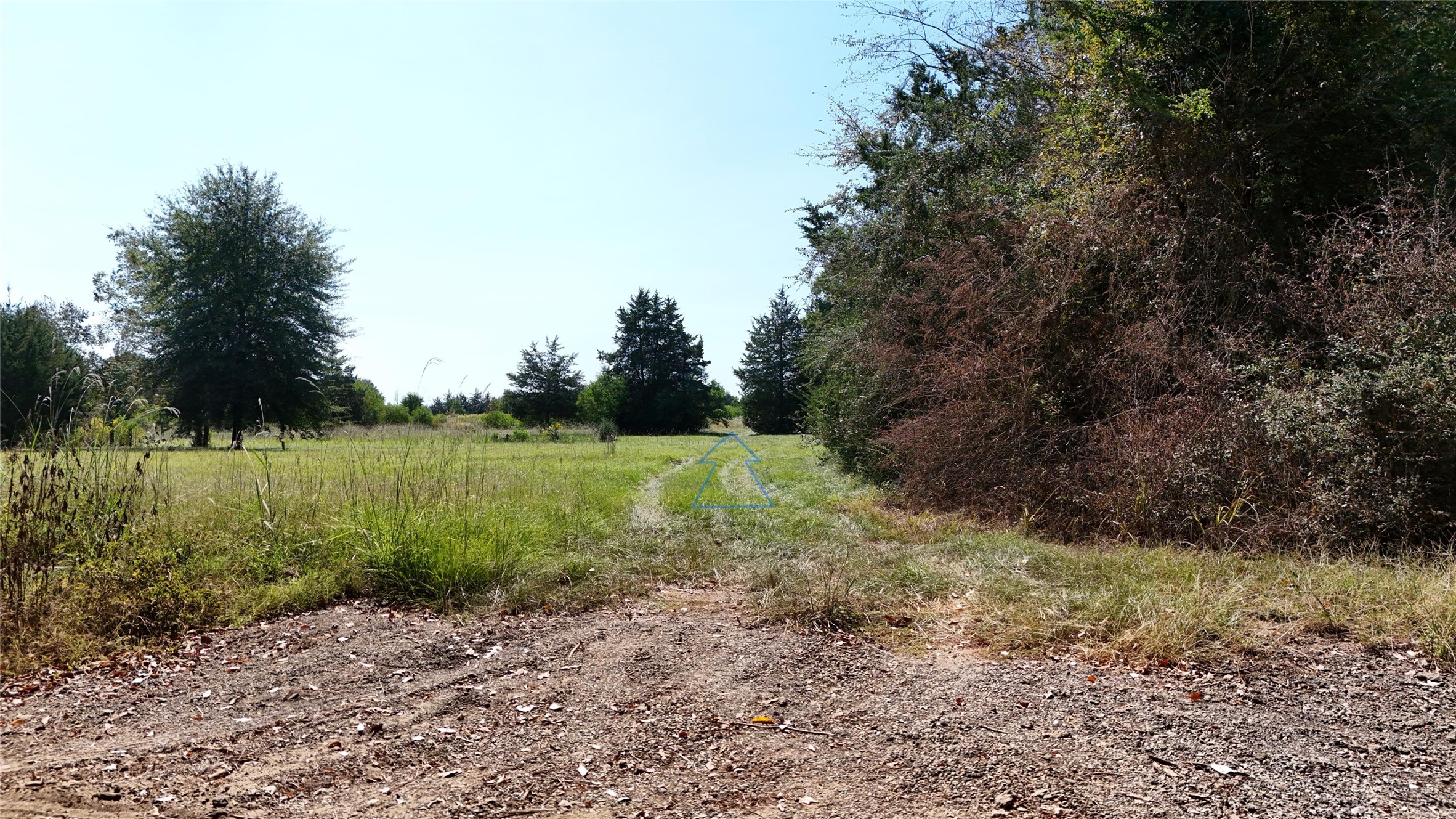 0 County Road 4694 Timpson, TX 75975 - Photo 7 of 25