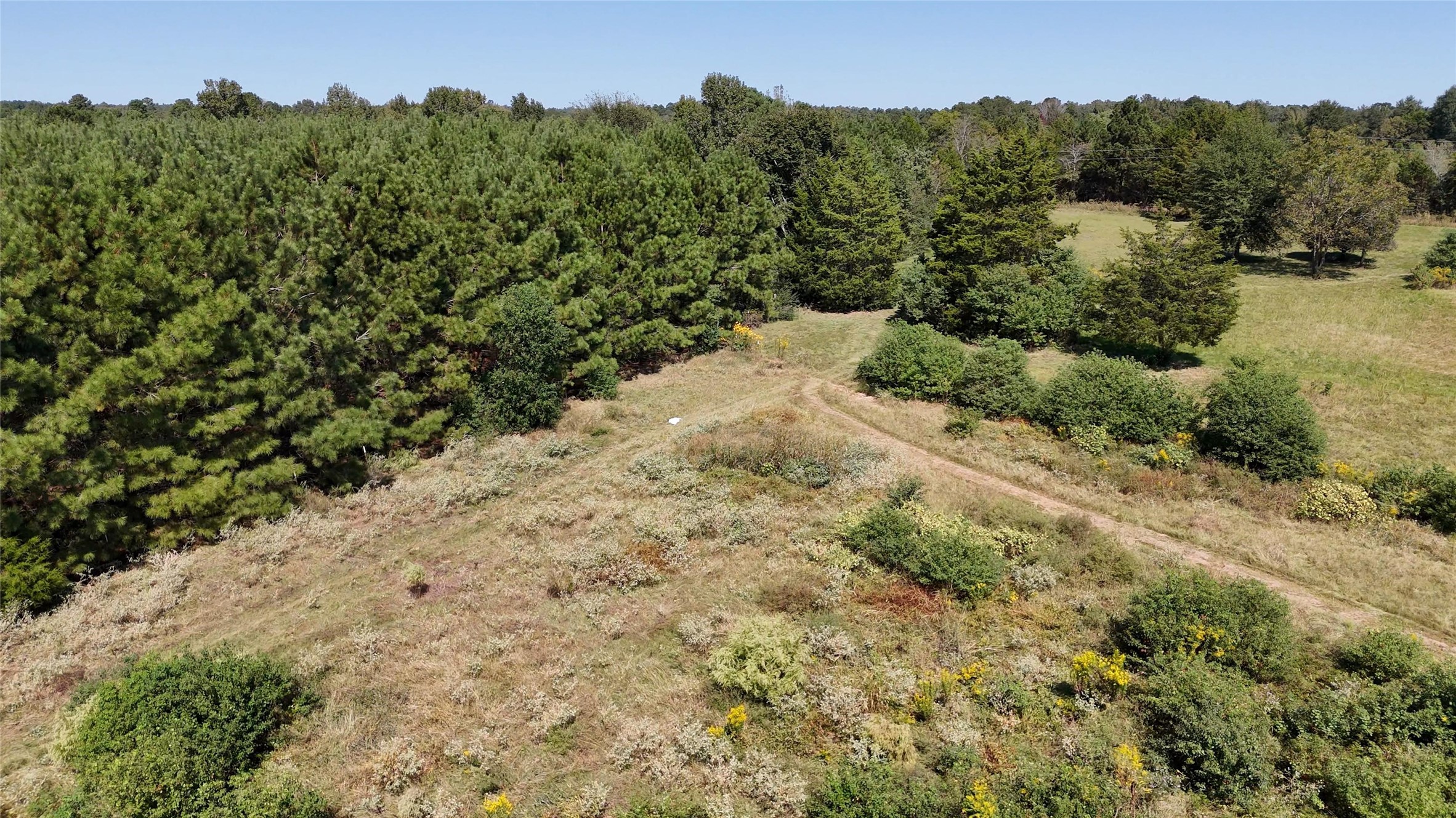 0 County Road 4694 Timpson, TX 75975 - Photo 8 of 25