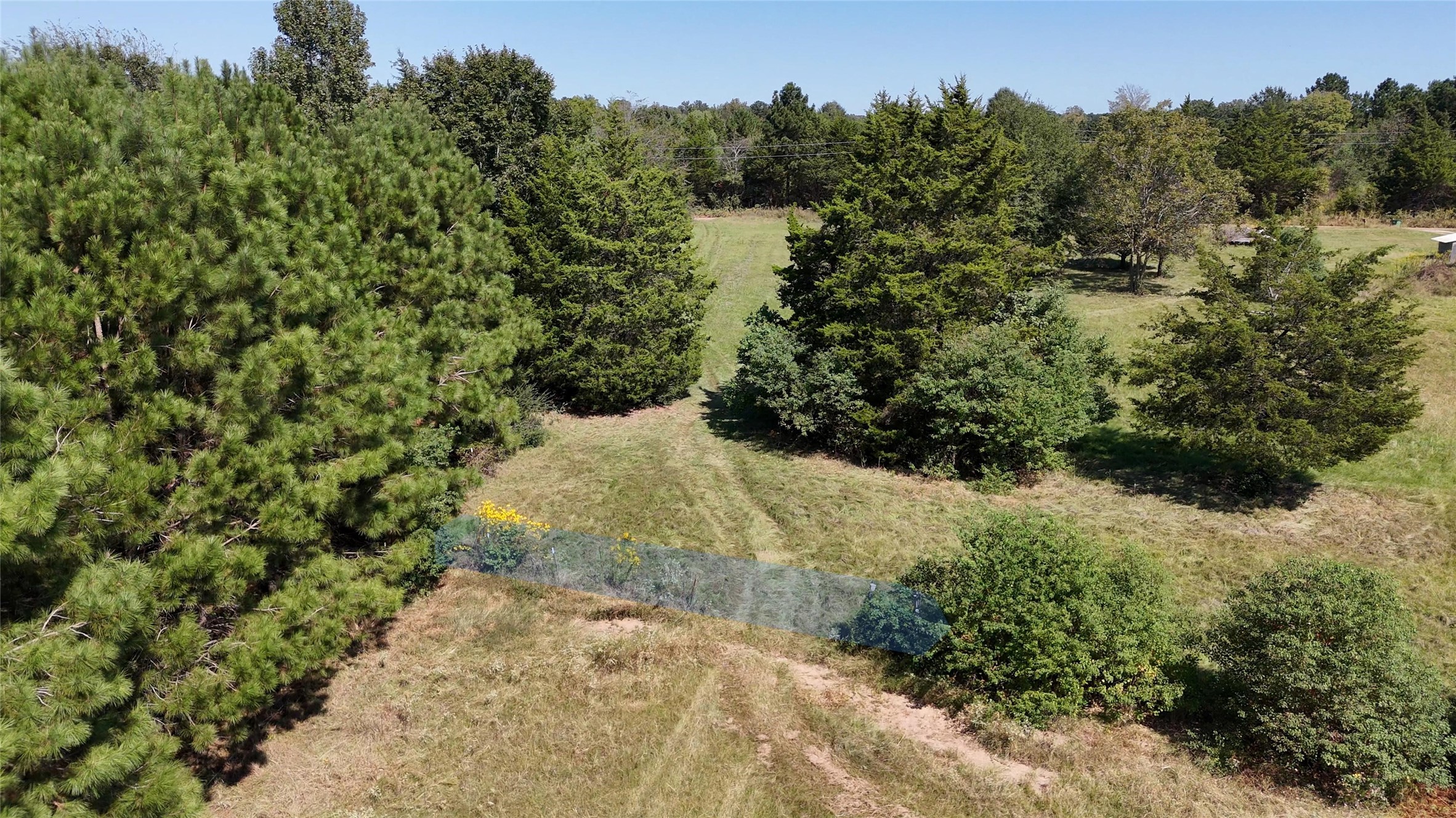 0 County Road 4694 Timpson, TX 75975 - Photo 9 of 25