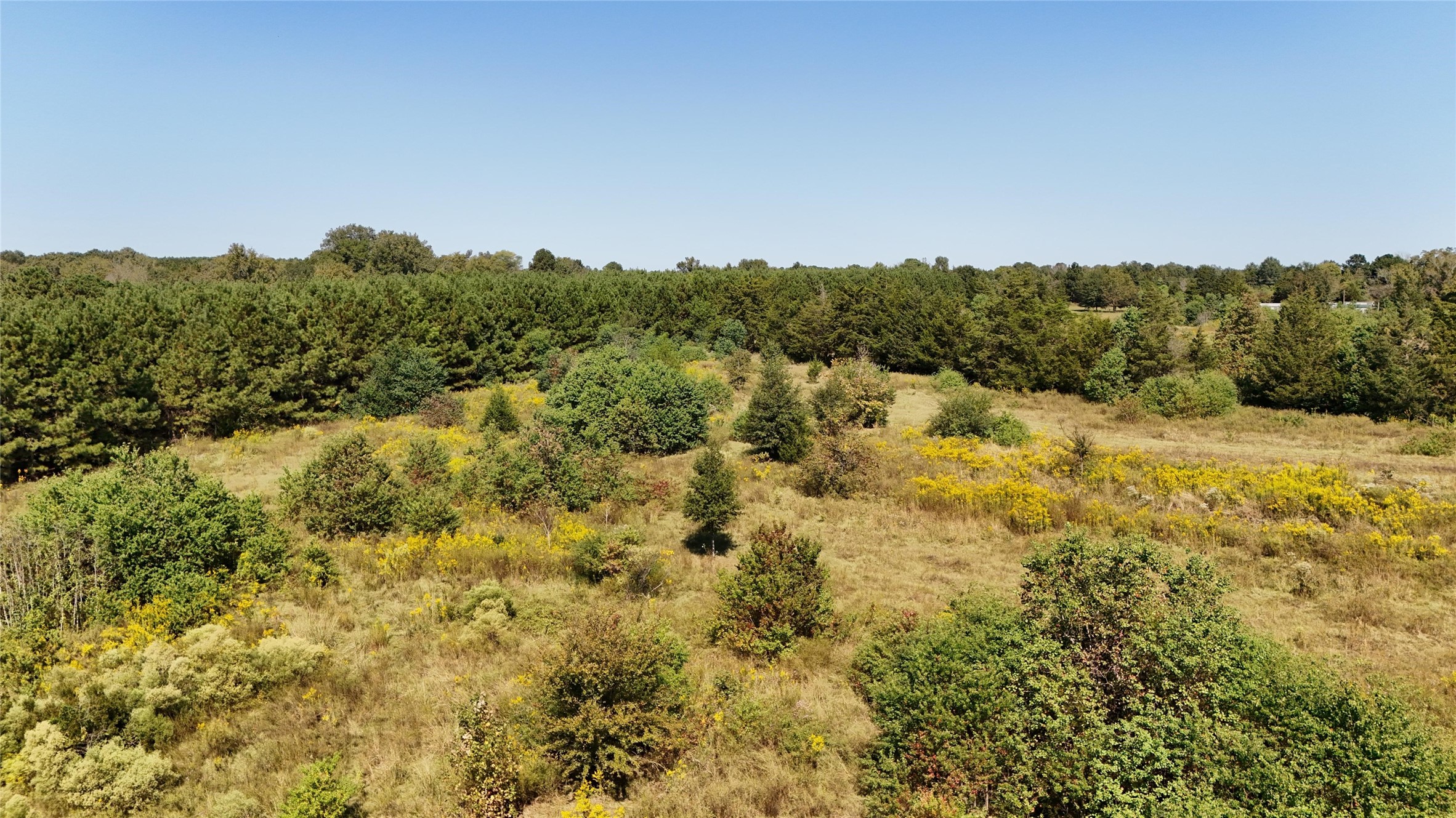 0 County Road 4694 Timpson, TX 75975 - Photo 10 of 25