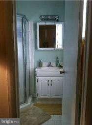 8514 Stevenswood Road Baltimore, MD 21244 - Photo 12 of 15 a bathroom with a sink a mirror and shower