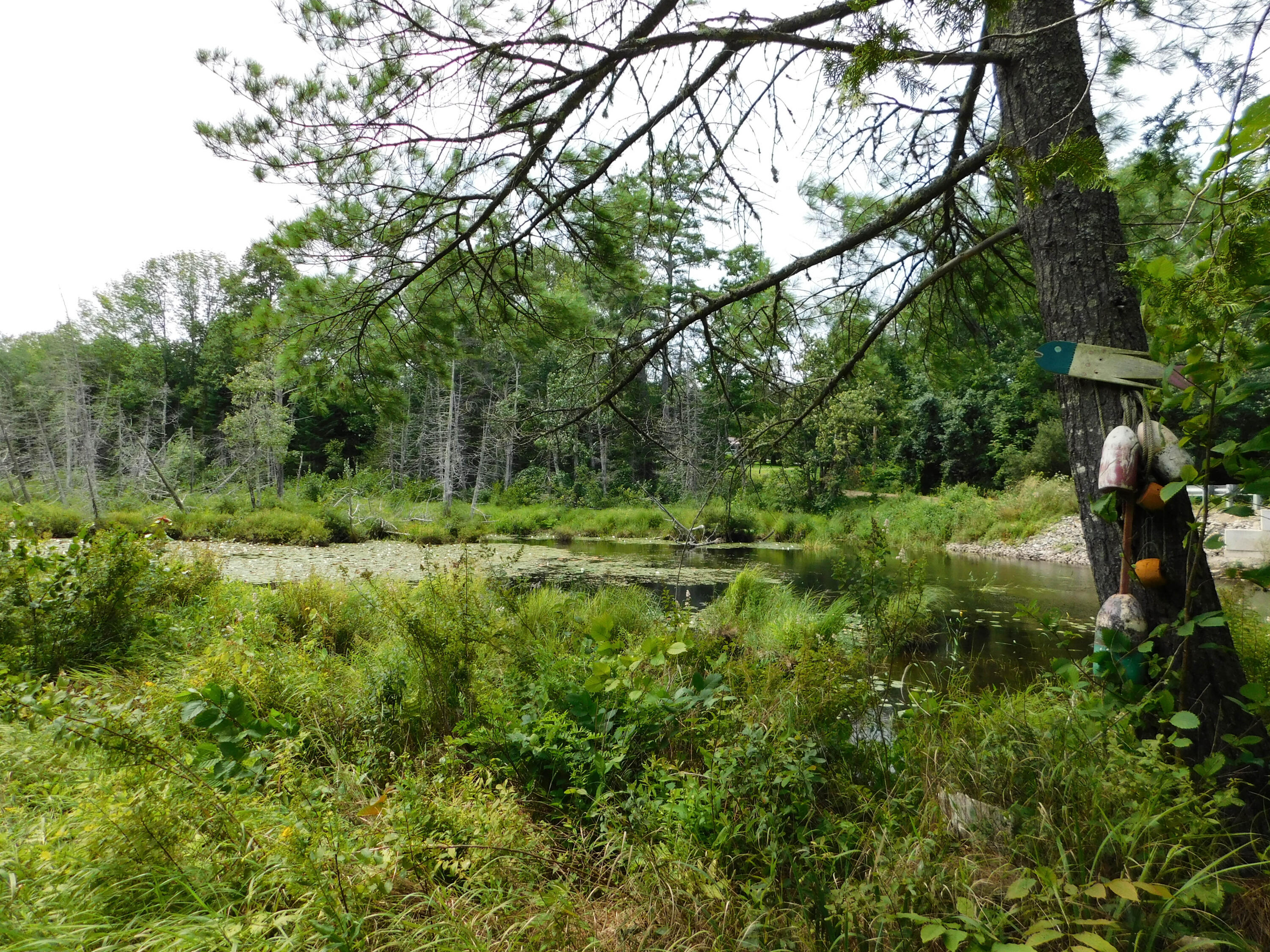 312 Line Road Corinna, ME 04928 - Photo 46 of 52 Water View