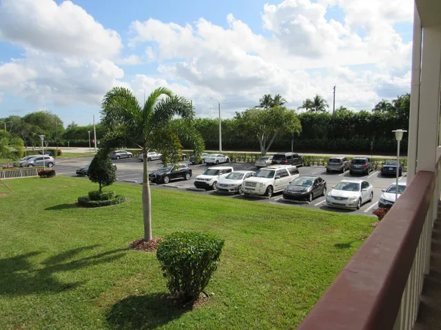 a view of a park with large trees