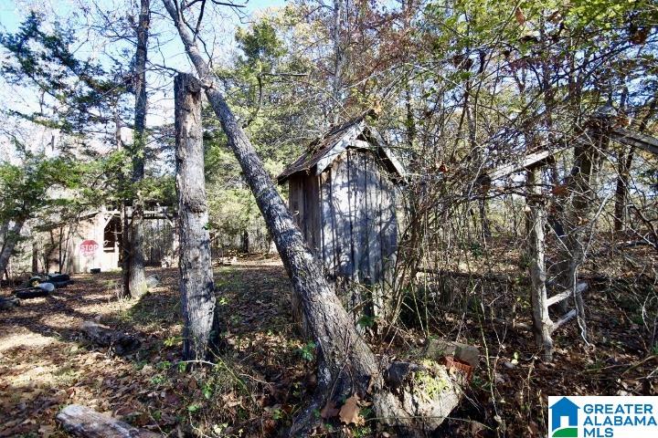 1189 County Road 46 Montevallo, AL 35115 - Photo 3 of 56