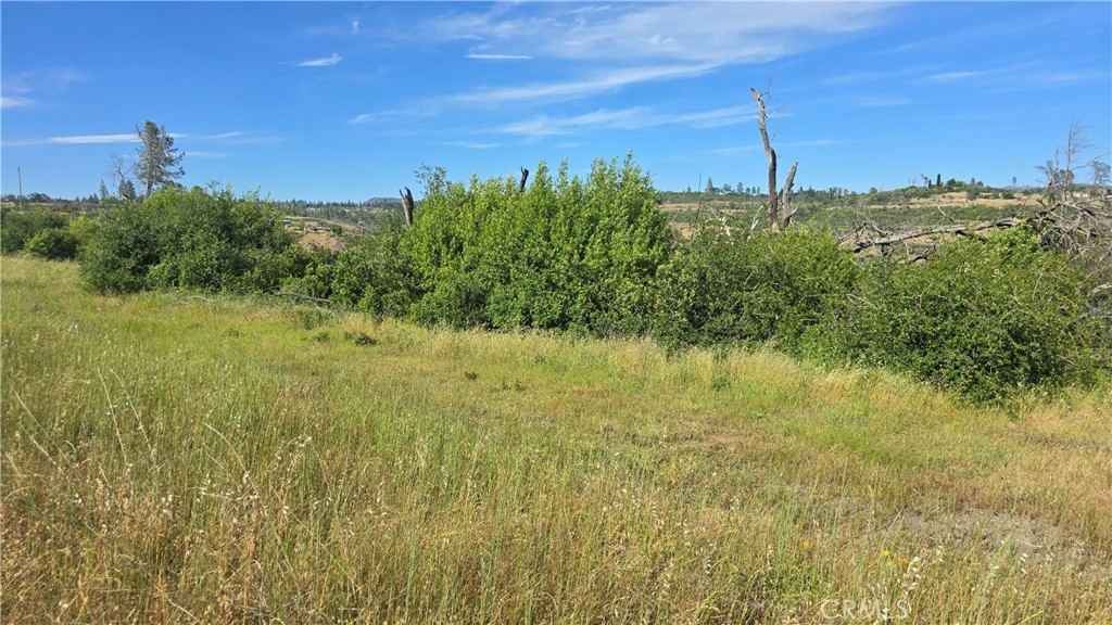 0 Clark Paradise, CA 95969 - Photo 13 of 22