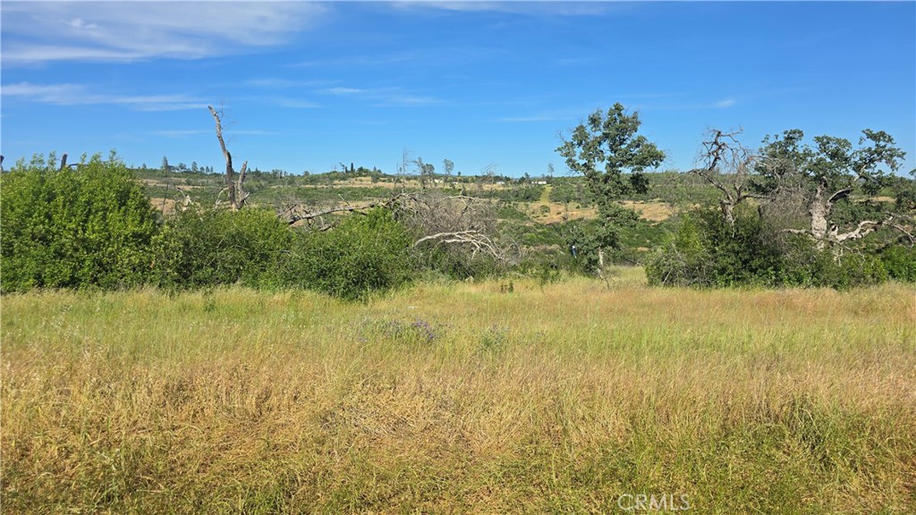 0 Clark Paradise, CA 95969 - Photo 14 of 22