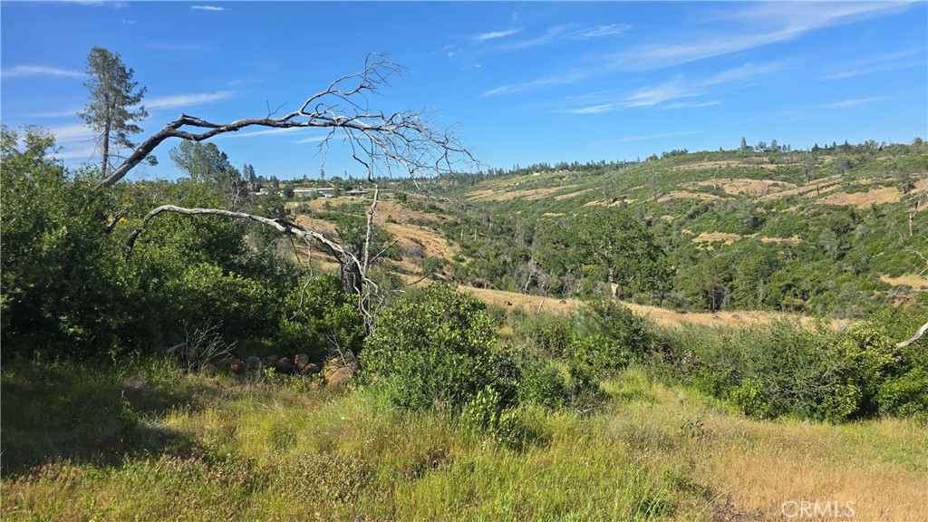 0 Clark Paradise, CA 95969 - Photo 16 of 22