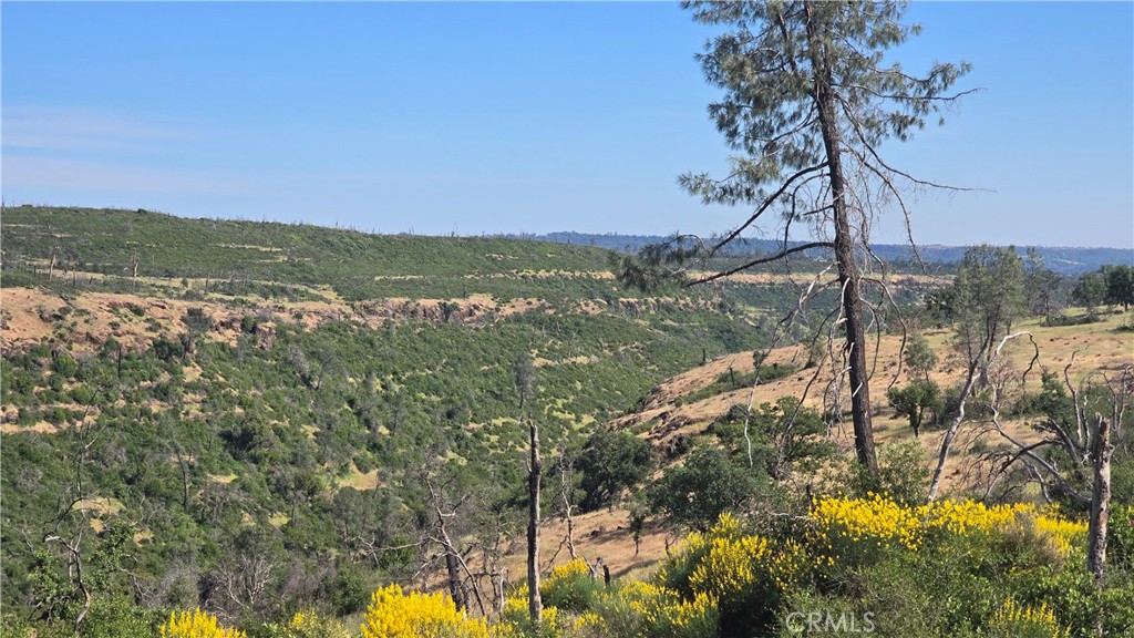 0 Clark Paradise, CA 95969 - Photo 7 of 22