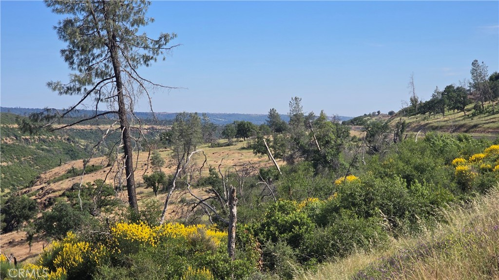 0 Clark Paradise, CA 95969 - Photo 8 of 22