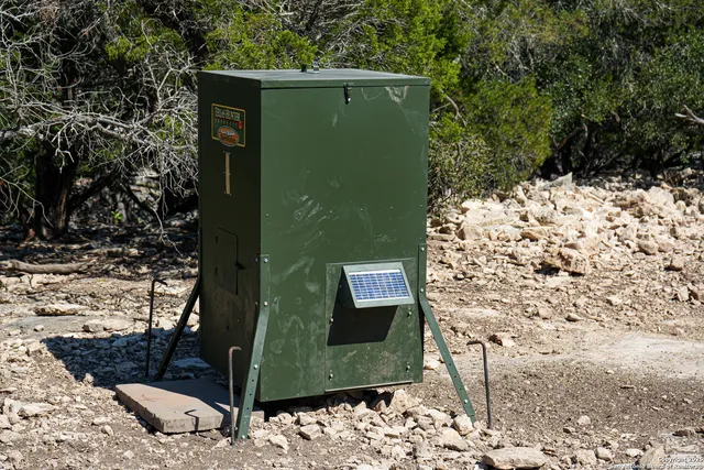 a view of a bird bath