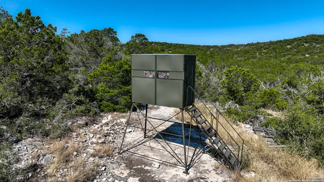a view of an outdoor space and a yard