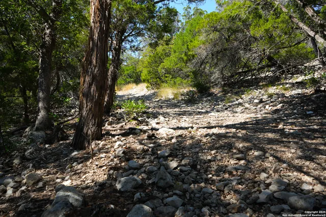 a view of a back yard from a backyard