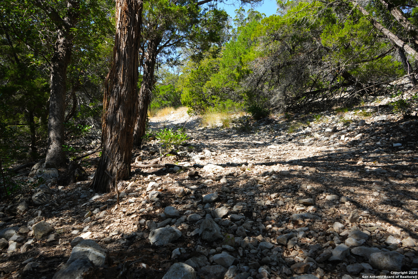 1792 SD 52300 Rocksprings, TX 78880 - Photo 21 of 31