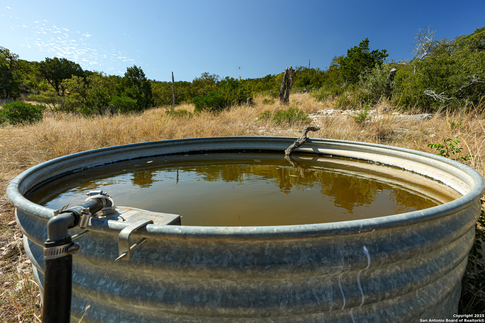 1792 SD 52300 Rocksprings, TX 78880 - Photo 26 of 31