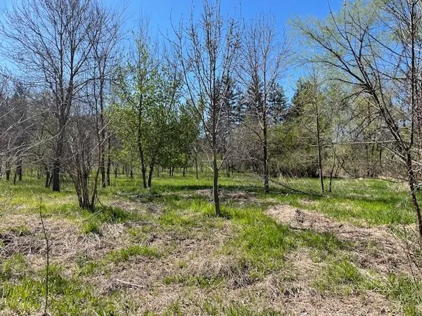 $39,900 | Tbd Wealthy Street, Albert Lea, MN 56007