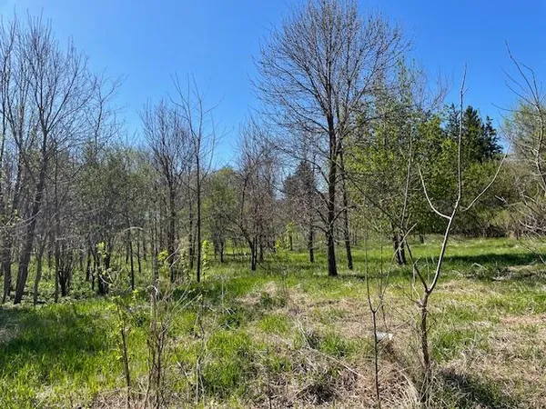 $39,900 | Tbd Wealthy Street, Albert Lea, MN 56007