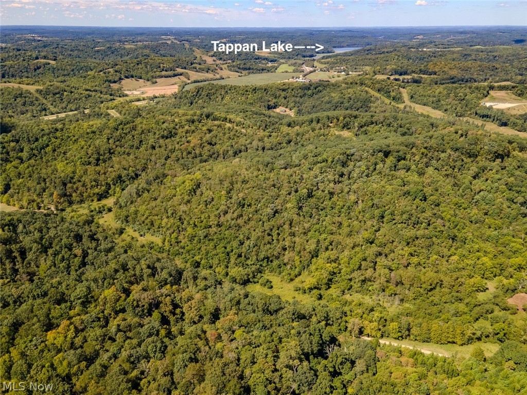 0 Brewer Road Cadiz, OH 43907 - Photo 7 of 37 Bird's eye view of a forest