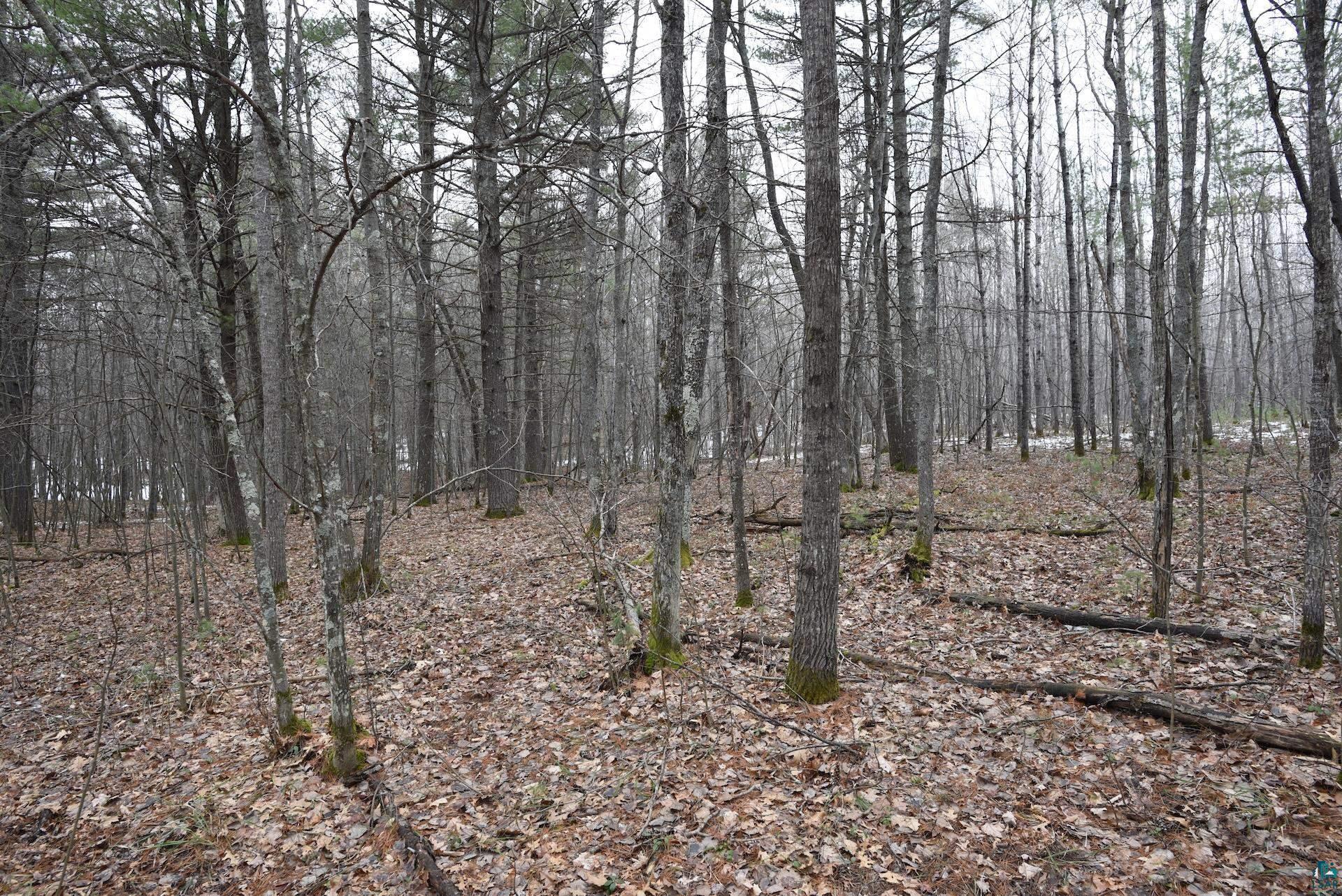 0 Hart Lake Road Iron River, WI 54847 - Photo 11 of 23 Gallery Image 11