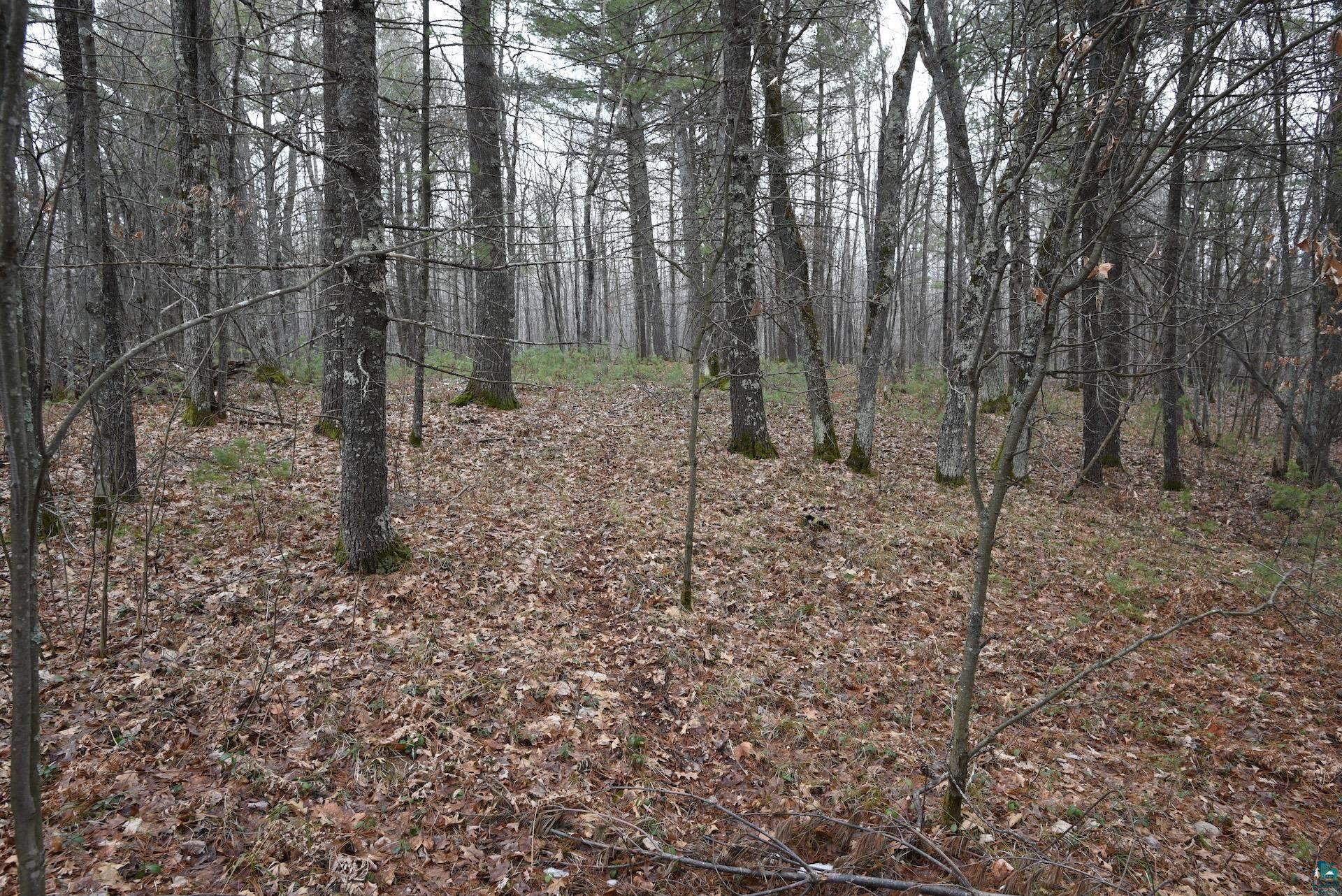 0 Hart Lake Road Iron River, WI 54847 - Photo 12 of 23 Gallery Image 12