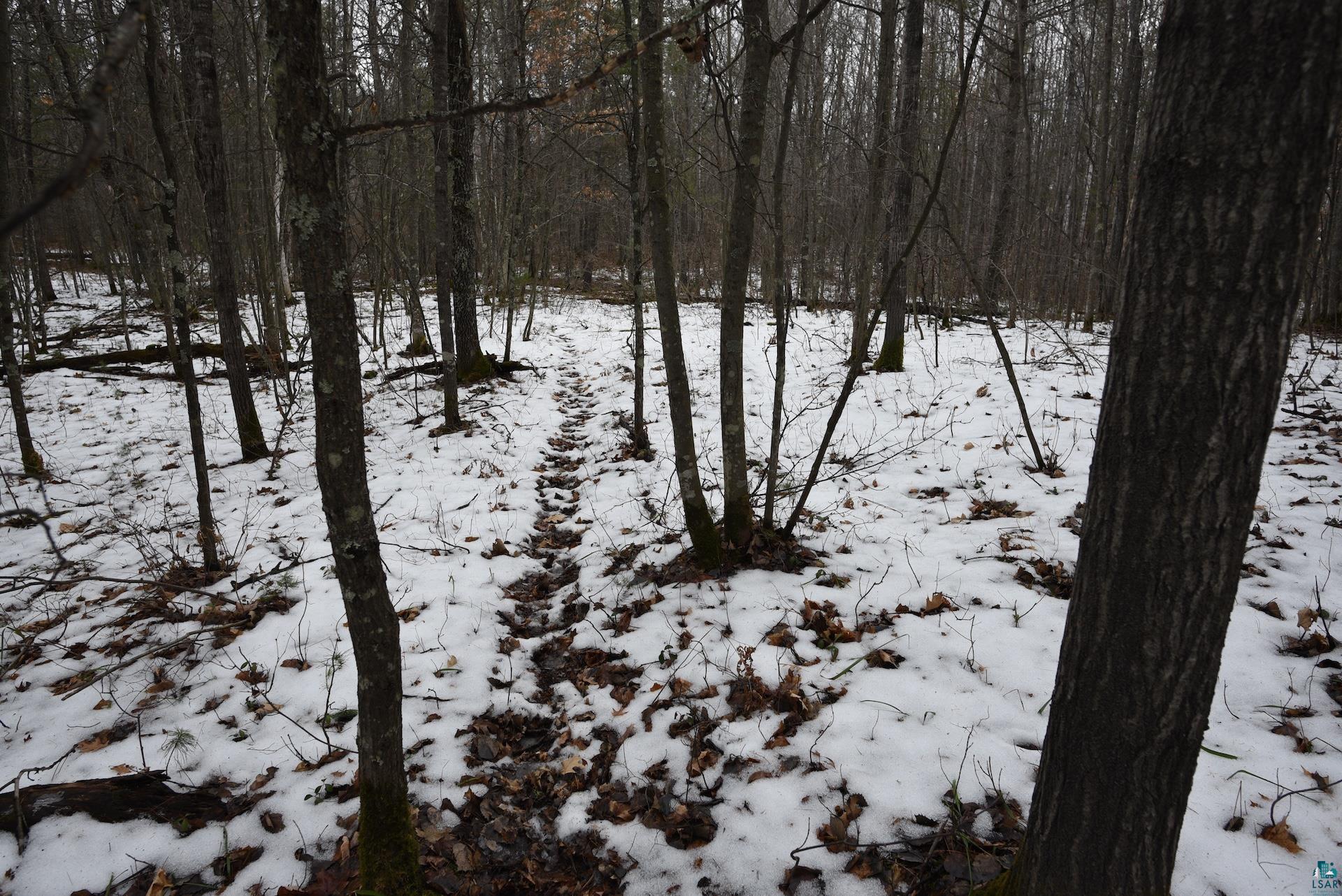0 Hart Lake Road Iron River, WI 54847 - Photo 15 of 23 Gallery Image 15