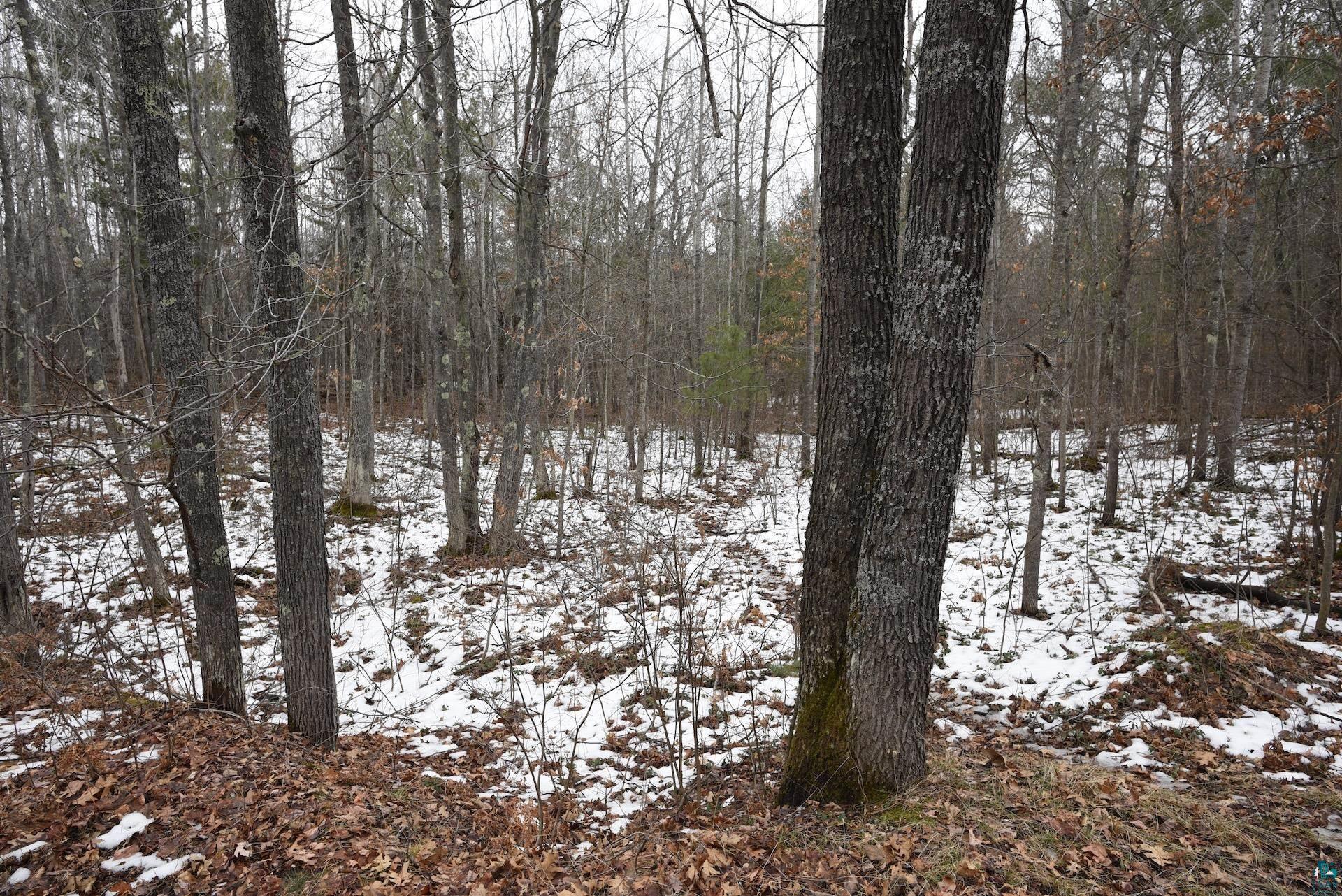 0 Hart Lake Road Iron River, WI 54847 - Photo 16 of 23 Gallery Image 16