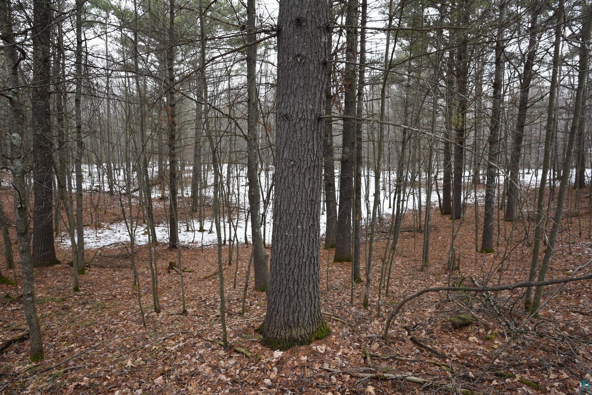 0 Hart Lake Road Iron River, WI 54847 - Photo 17 of 23 Gallery Image 17