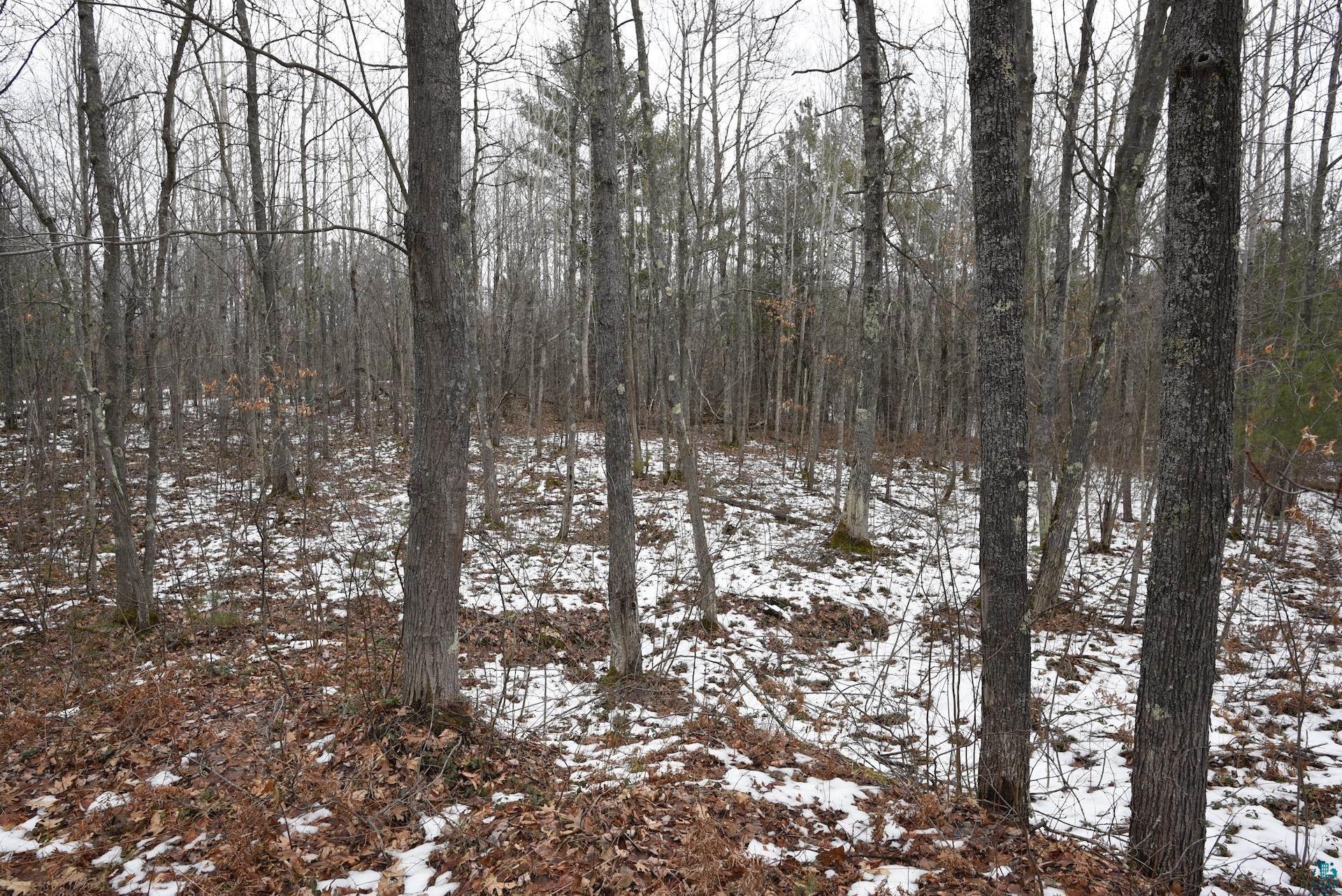 0 Hart Lake Road Iron River, WI 54847 - Photo 18 of 23 Gallery Image 18