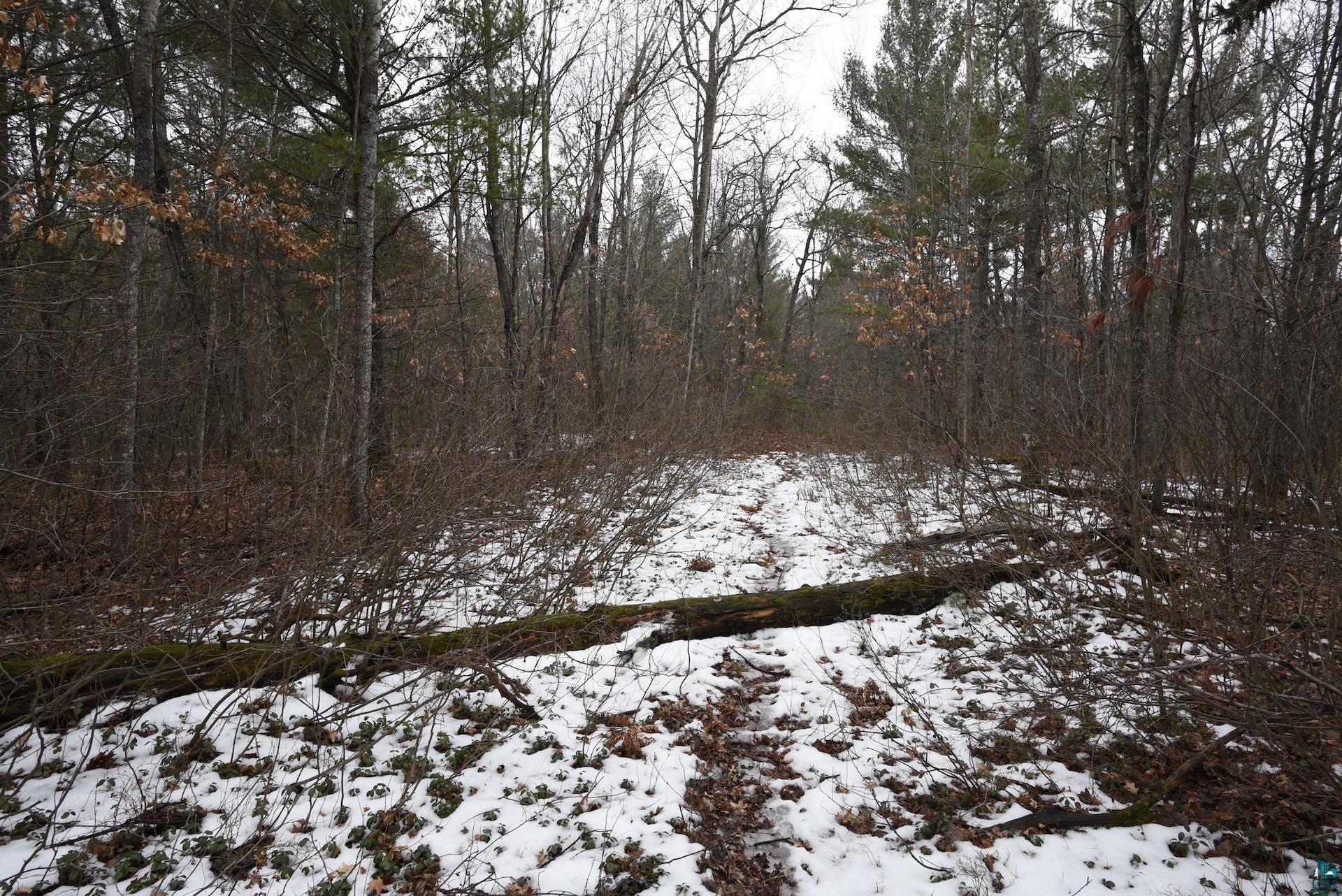 0 Hart Lake Road Iron River, WI 54847 - Photo 19 of 23 Gallery Image 19