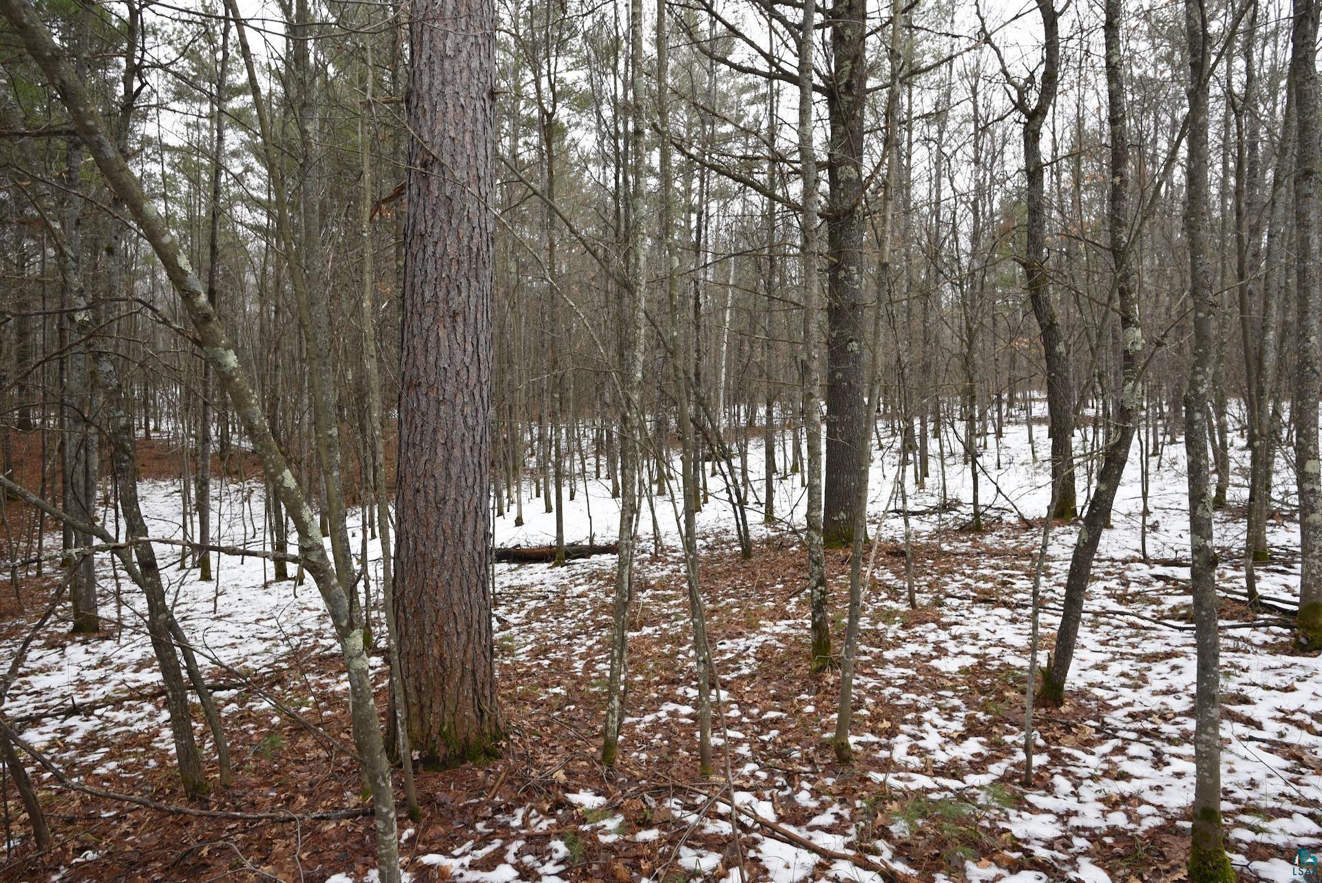 0 Hart Lake Road Iron River, WI 54847 - Photo 7 of 23 Gallery Image 7