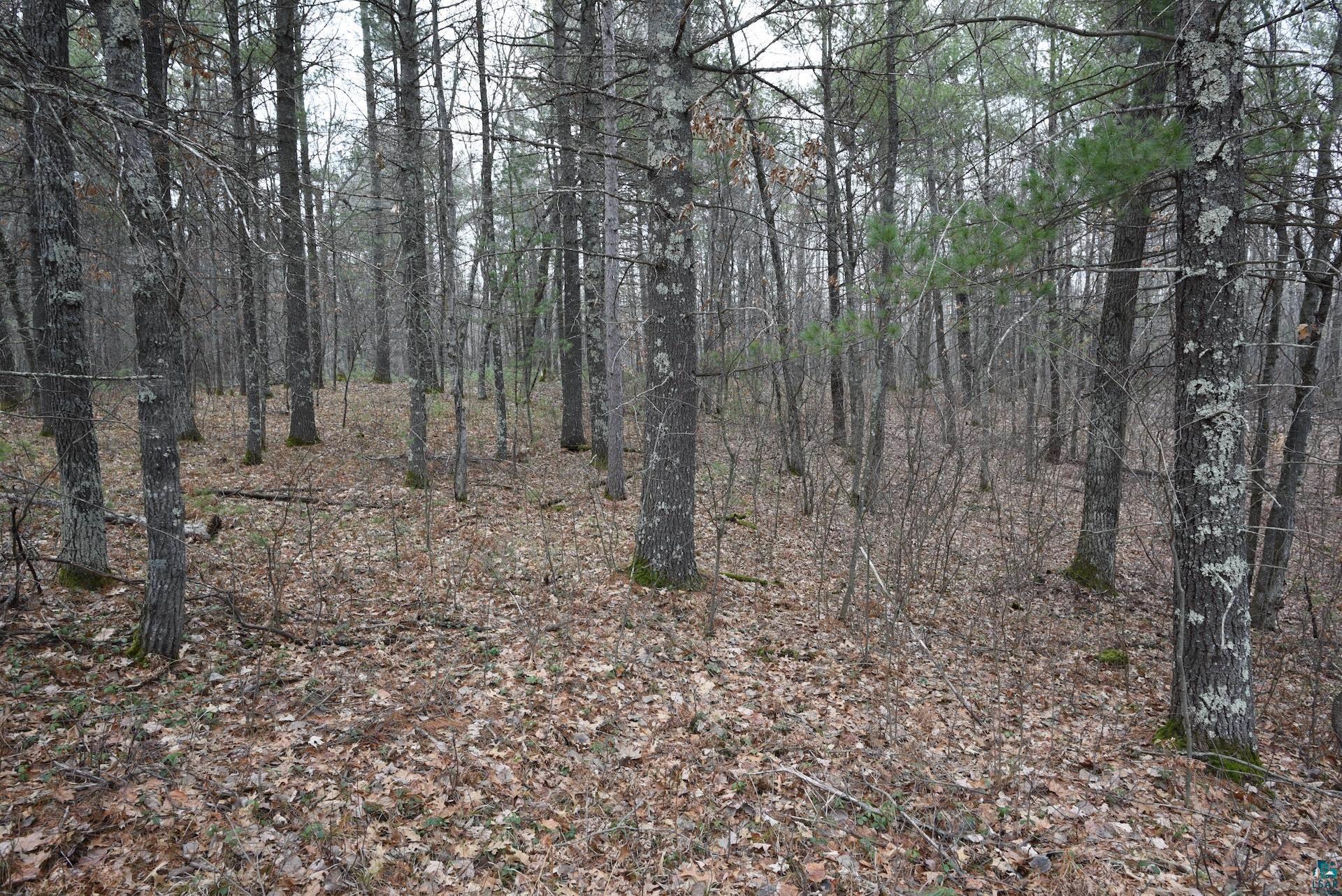 0 Hart Lake Road Iron River, WI 54847 - Photo 8 of 23 Gallery Image 8
