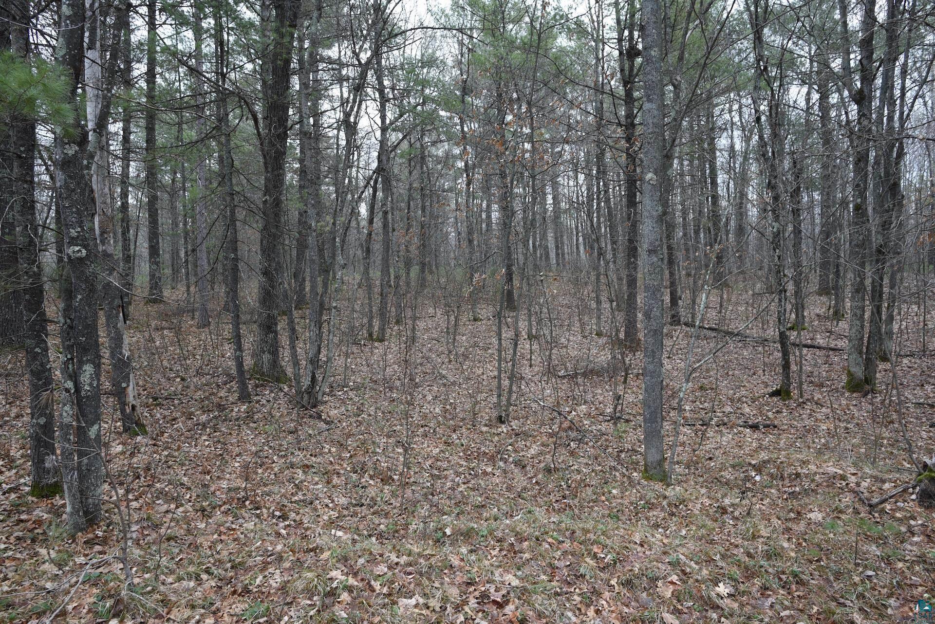 0 Hart Lake Road Iron River, WI 54847 - Photo 10 of 23 Gallery Image 10