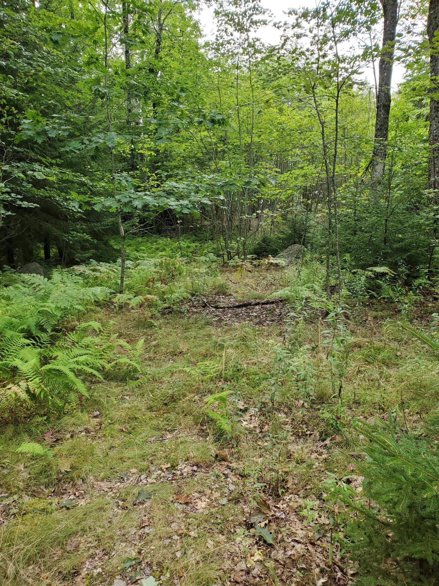 144 Treasure Point Road St. George, ME 04860 - Photo 10 of 19 20200903_121129