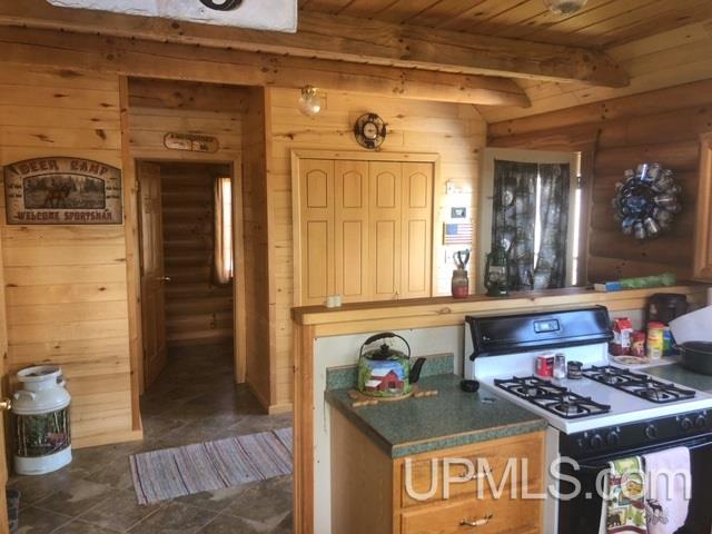 Premo Dam Road Amasa, MI 49903 - Photo 18 of 49 Gallery Image 18