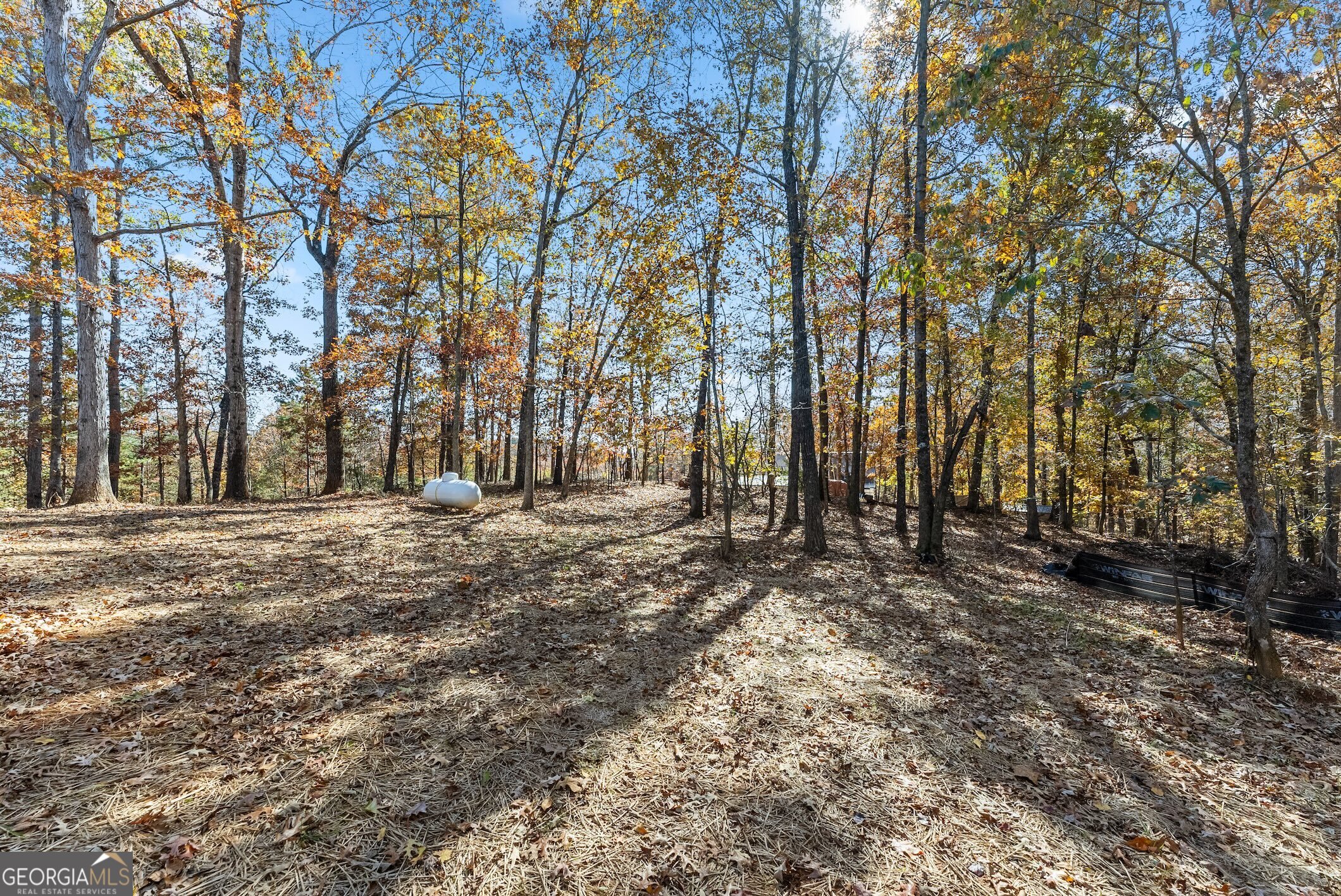 339 Hickory Ridge Drive Cleveland, GA 30528 - Photo 46 of 54 a view of outdoor space with trees