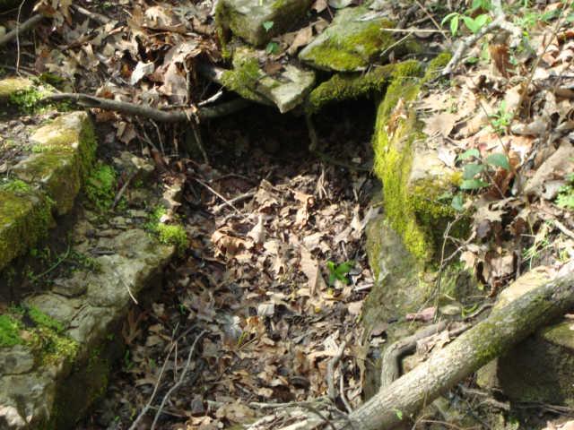 1 Fiducia Road Pulaski, TN 38478 - Photo 11 of 19 Another Fox Den