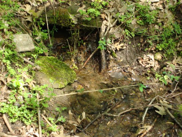 1 Fiducia Road Pulaski, TN 38478 - Photo 12 of 19 One of Several Springs