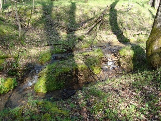 1 Fiducia Road Pulaski, TN 38478 - Photo 13 of 19 Smaller Water Fall