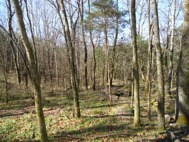 1 Fiducia Road Pulaski, TN 38478 - Photo 14 of 19