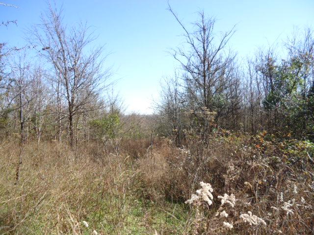1 Fiducia Road Pulaski, TN 38478 - Photo 16 of 19