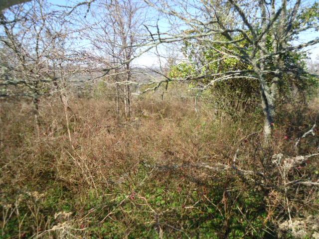 1 Fiducia Road Pulaski, TN 38478 - Photo 17 of 19