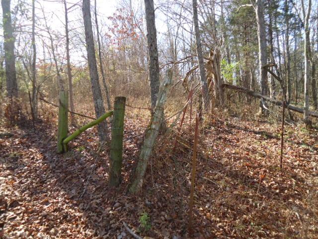 1 Fiducia Road Pulaski, TN 38478 - Photo 18 of 19