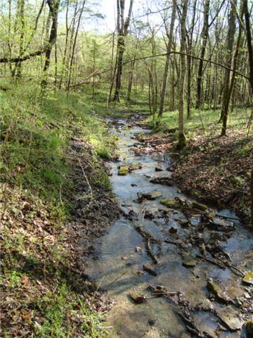 1 Fiducia Road Pulaski, TN 38478 - Photo 2 of 19 Creek 2