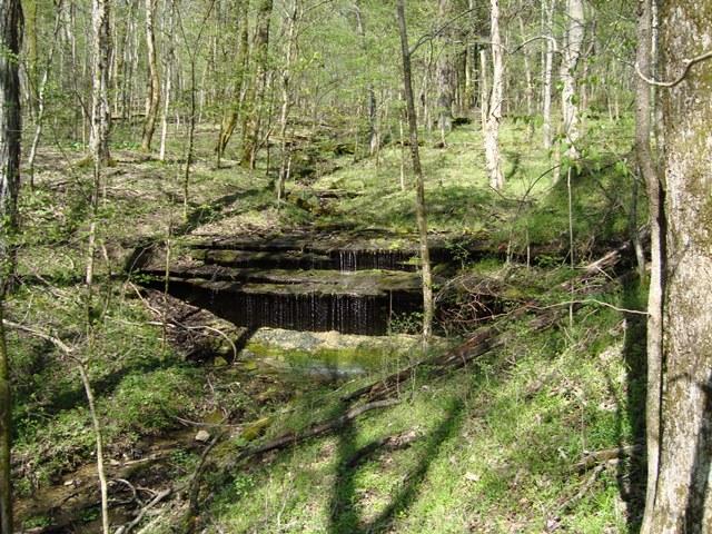 1 Fiducia Road Pulaski, TN 38478 - Photo 3 of 19 Water Falls
